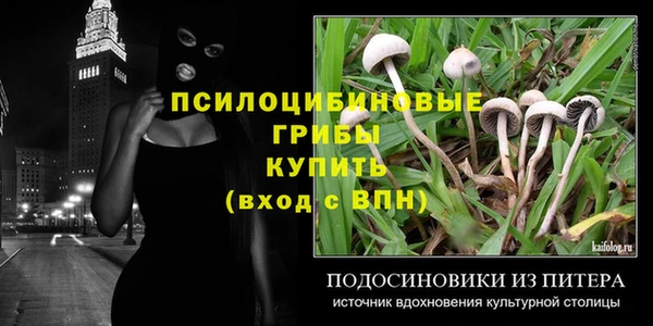 ALPHA PVP Пролетарск
