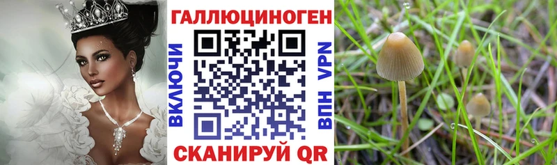 Псилоцибиновые грибы Magic Shrooms  цена наркотик  Ясный 